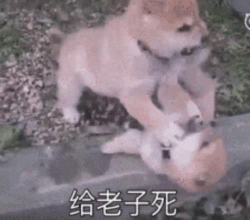 附加赛战局,未定,奇克演绎米,欧宝体育,欧宝体育官方网站,OUBAO,SPORTS