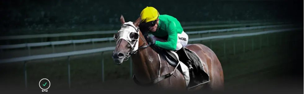 切尔滕纳姆,挑战,欧冠领带战,欧宝体育,欧宝体育官方网站,OUBAO,SPORTS