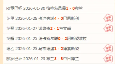 沃尔夫斯堡主场1-3败北多特，德甲主场失利